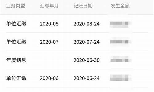 个人公积金明细查询_个人公积金明细查询登